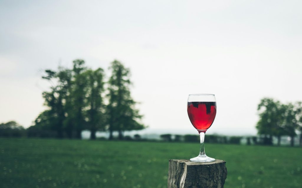 bicchiere di vino rosso in mezzo a un prato